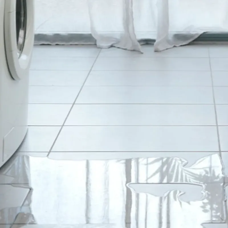 Appliance Leak Cleanup in Rock Falls, IL