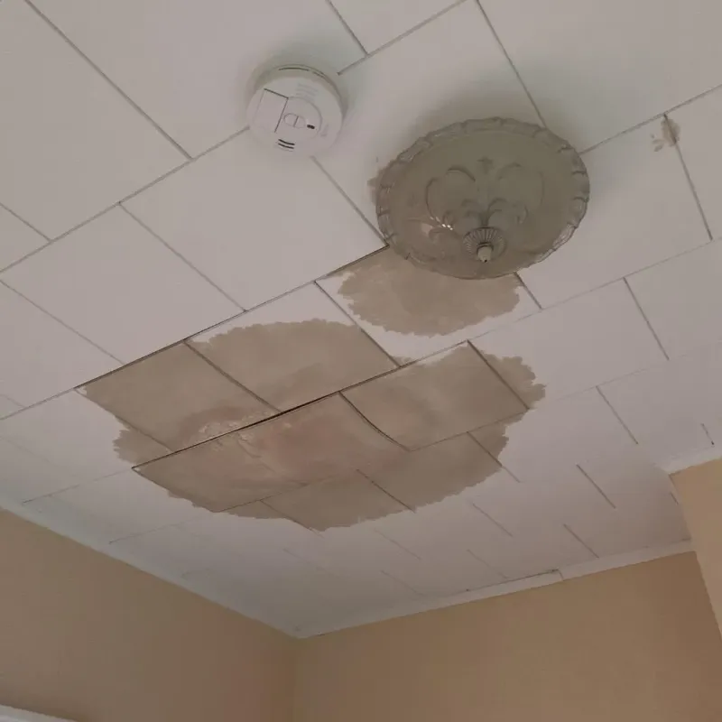 Ceiling Water Damage Repair in Rock Falls, IL