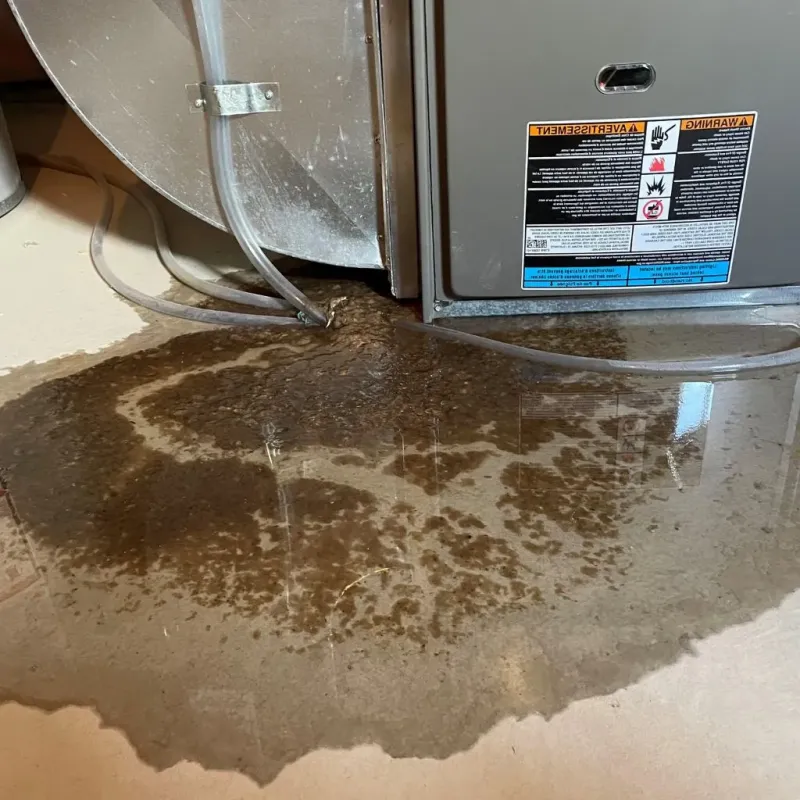 Pipe Burst and Leak Restoration in Rock Falls, IL